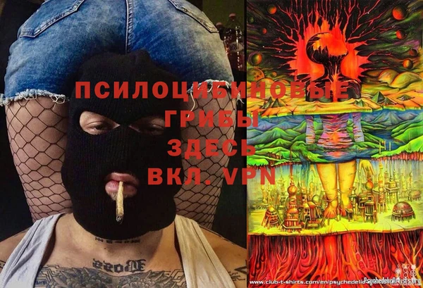 спайс Богородицк