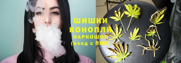 PSILOCYBIN Краснослободск
