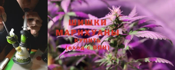 прущие грибы Богданович