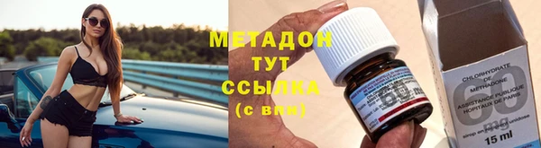 прущие грибы Богданович