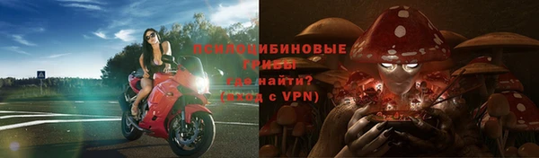 спайс Богородицк