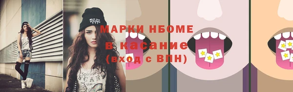 прущие грибы Богданович