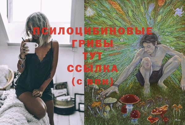 спайс Богородицк