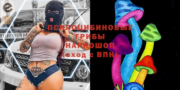 спайс Богородицк
