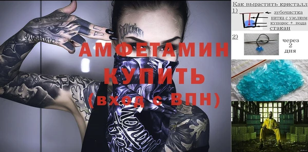 прущие грибы Богданович