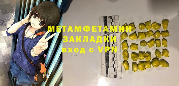прущие грибы Богданович