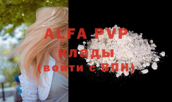прущие грибы Богданович